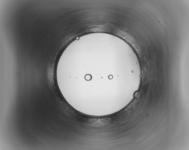 X0000101470297200807281025