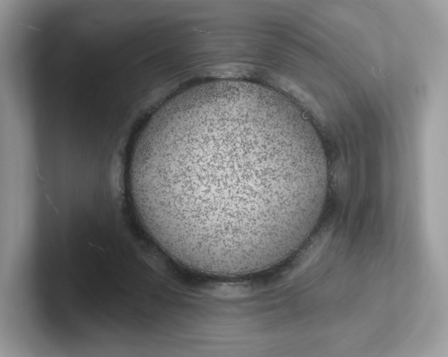 X0000101470303200807281025