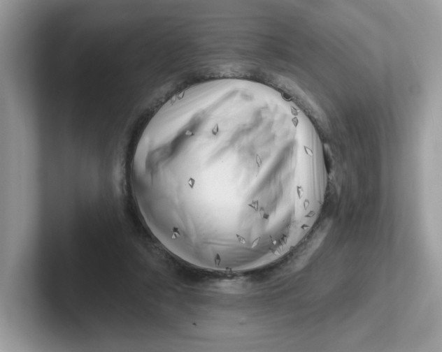 X0000101470306200807281025