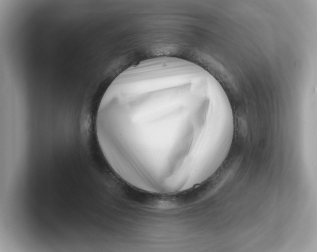 X0000101470308200807281025