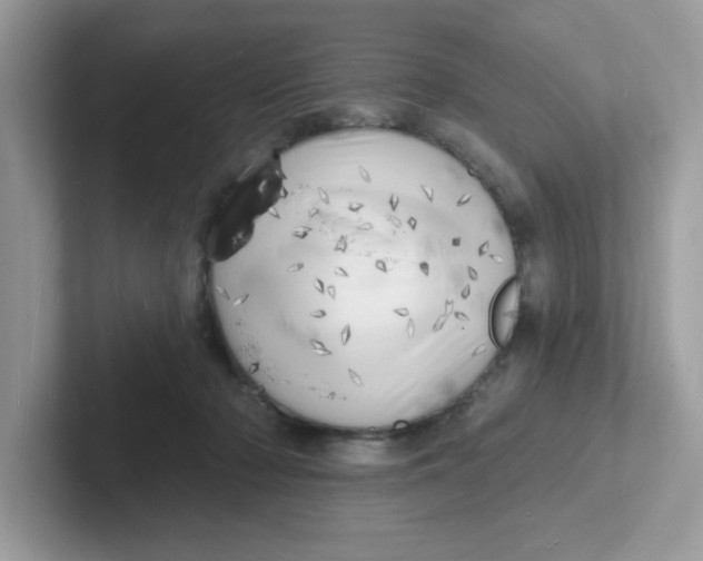 X0000101470318200807281024