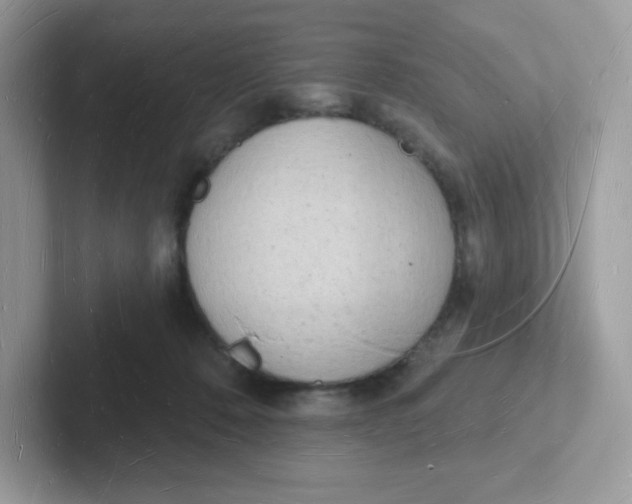 X0000101470320200807281024