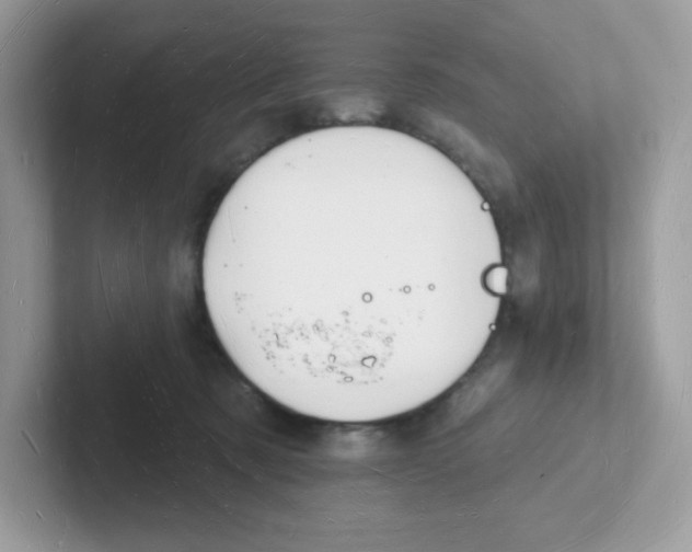 X0000101470321200807281024