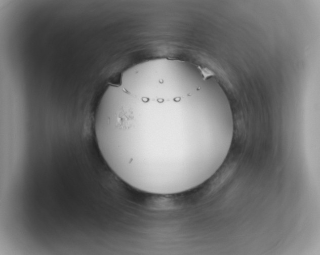 X0000101470325200807281024