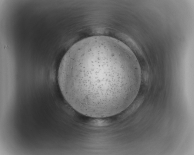 X0000101470326200807281024