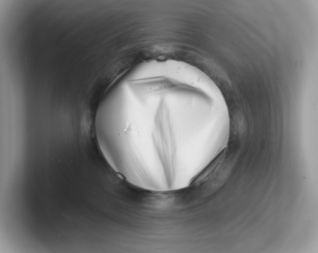 X0000101470328200807281024