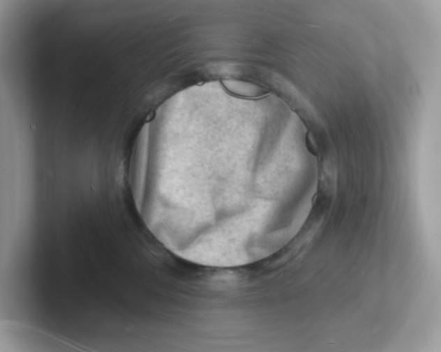 X0000101470330200807281024