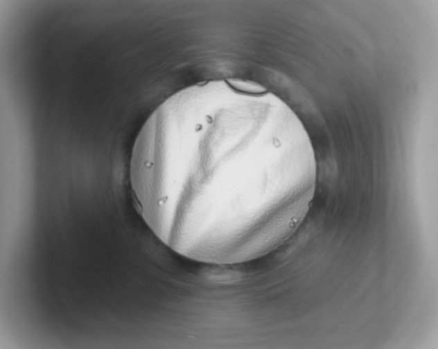 X0000101470331200807281024