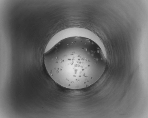 X0000101470332200807281024