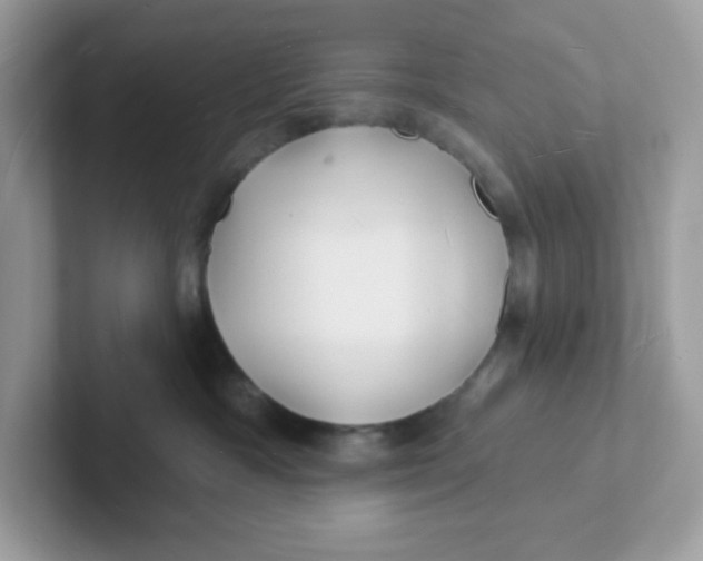 X0000101470333200807281024