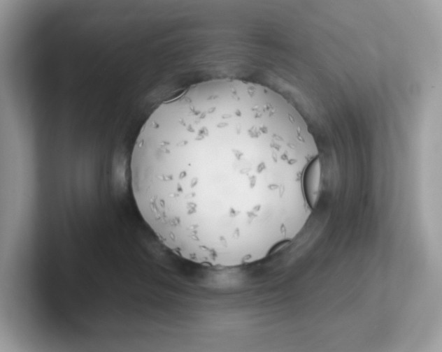 X0000101470334200807281024