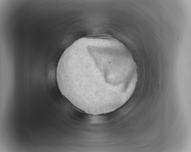 X0000101470336200807281024