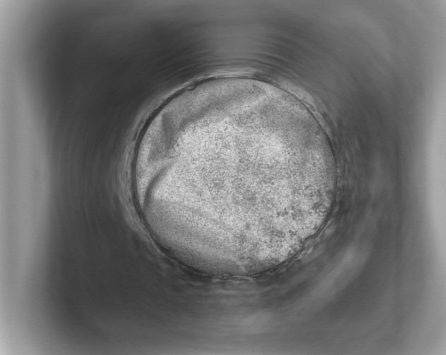 X0000101470337200807281024