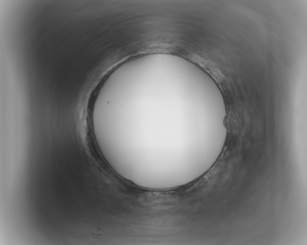 X0000101470338200807281024