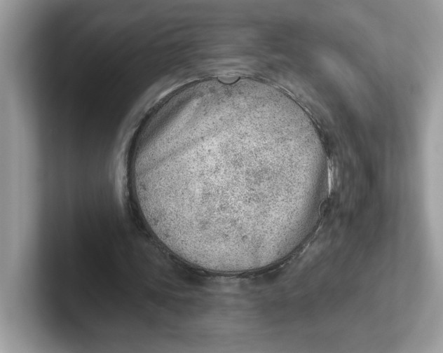 X0000101470339200807281024