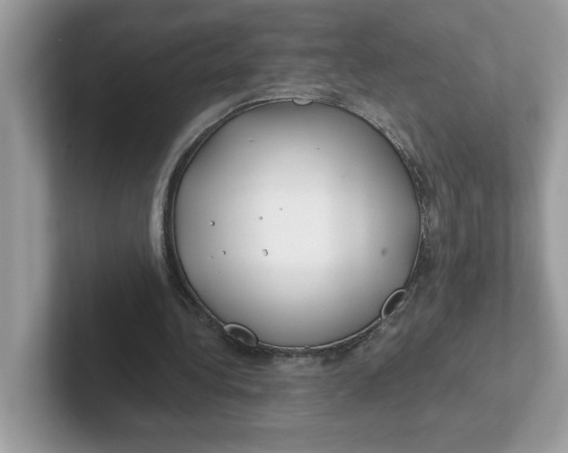 X0000101470340200807281024