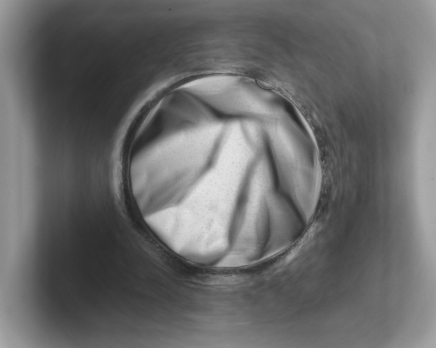 X0000101470342200807281024