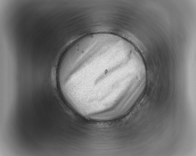 X0000101470345200807281024