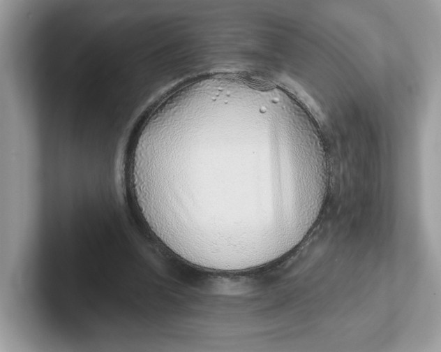 X0000101470346200807281024