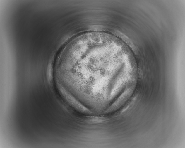 X0000101470347200807281024