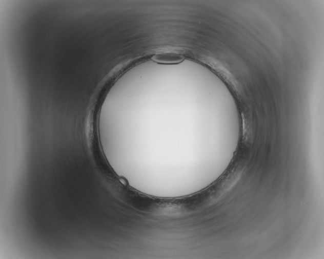 X0000101470348200807281024