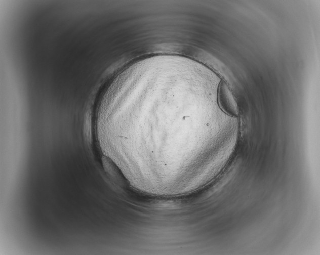 X0000101470349200807281024