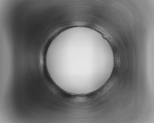 X0000101470350200807281024