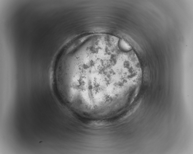 X0000101470351200807281024