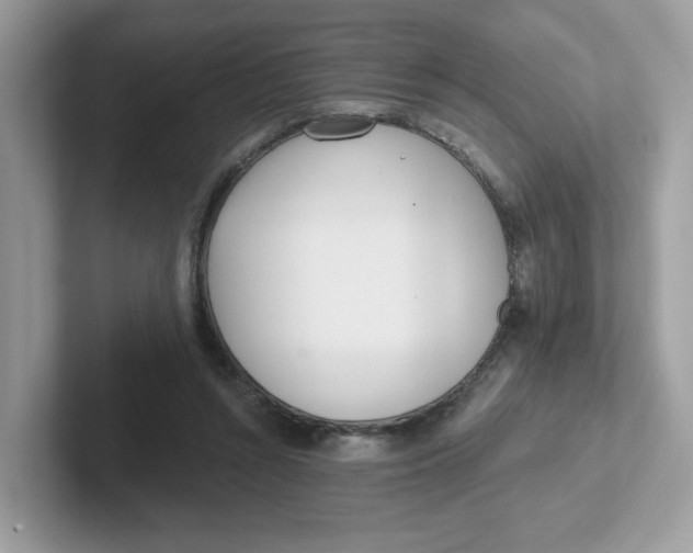 X0000101470352200807281024