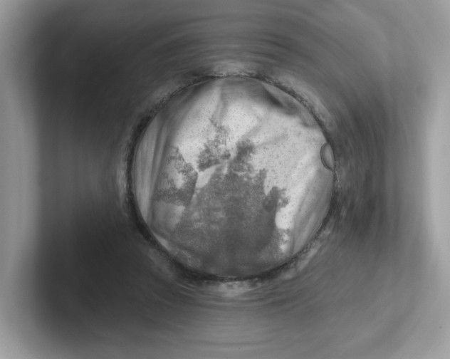 X0000101470353200807281024