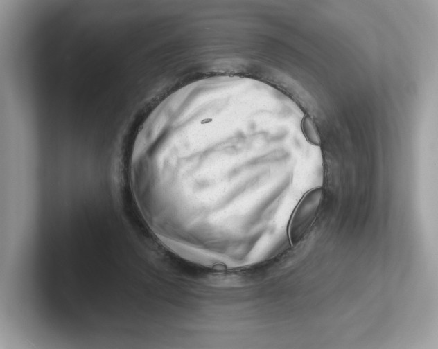 X0000101470354200807281024