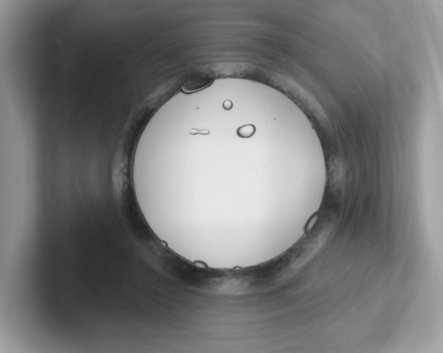 X0000101470356200807281024