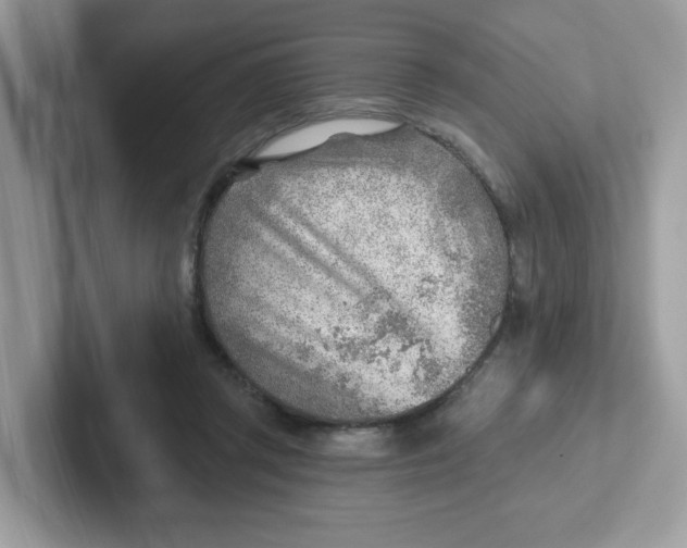 X0000101470357200807281024