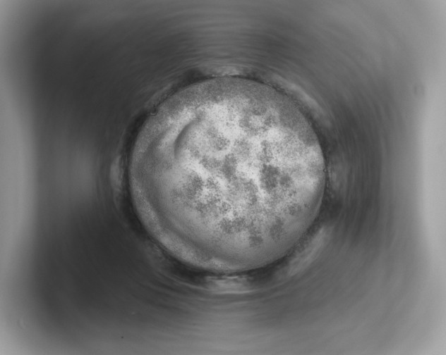 X0000101470359200807281024