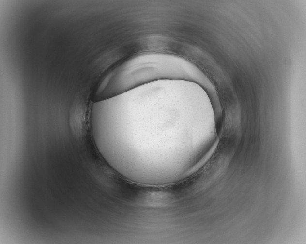 X0000101470360200807281024