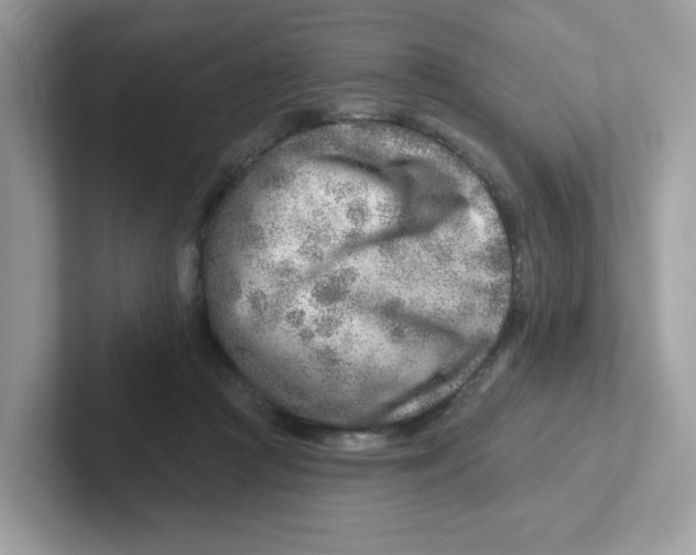 X0000101470361200807281024