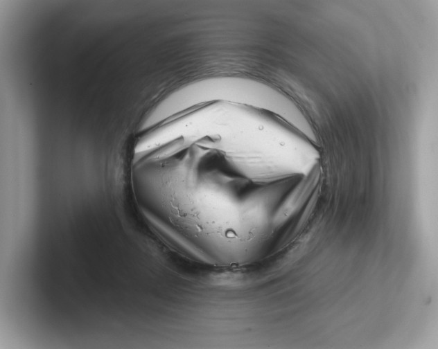 X0000101470362200807281024