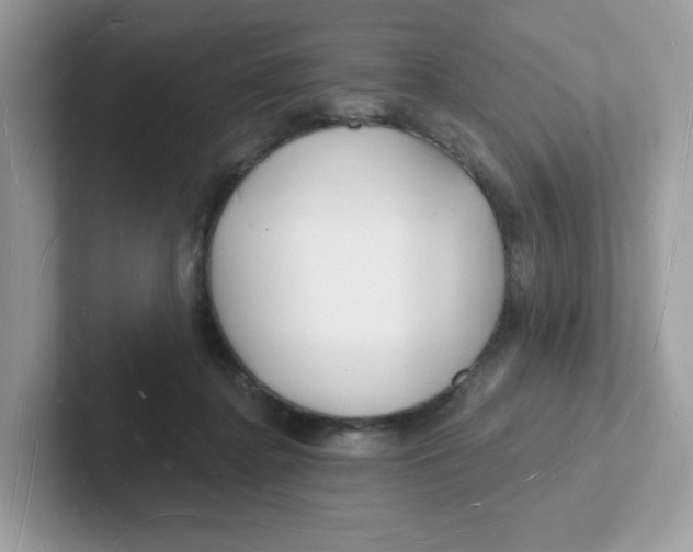 X0000101470364200807281024