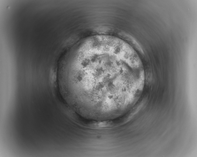 X0000101470365200807281024