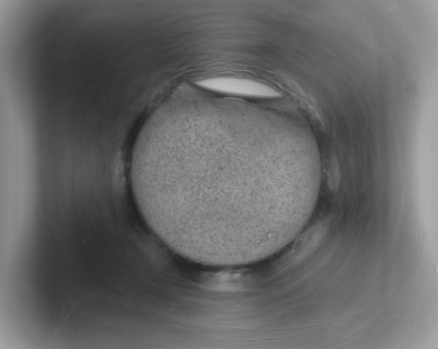 X0000101470366200807281024