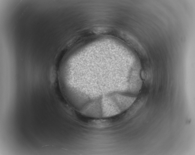 X0000101470367200807281024