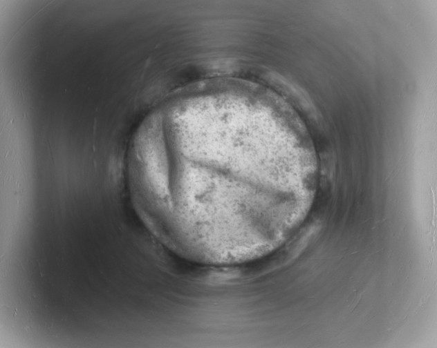 X0000101470369200807281024