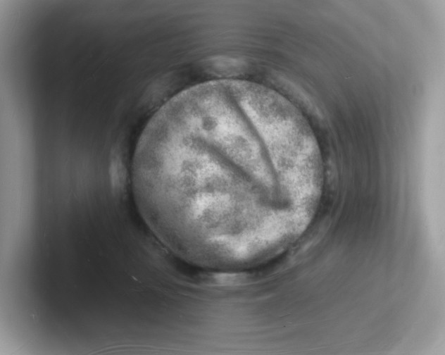 X0000101470371200807281024