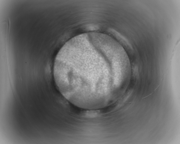 X0000101470373200807281024