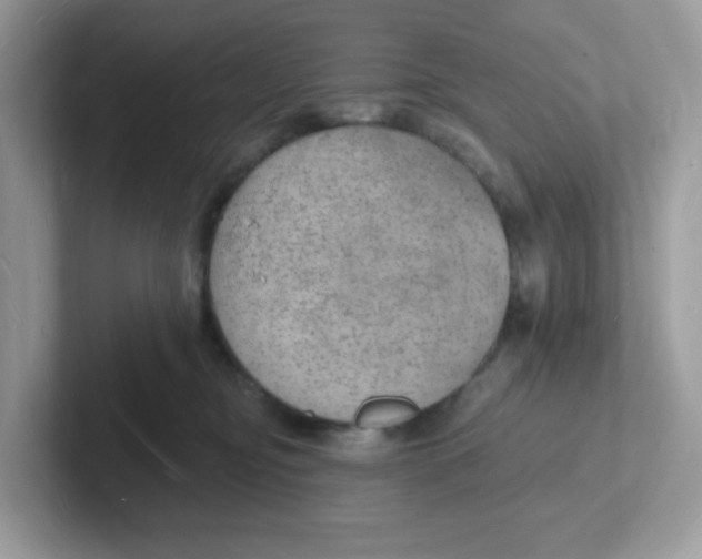 X0000101470374200807281024