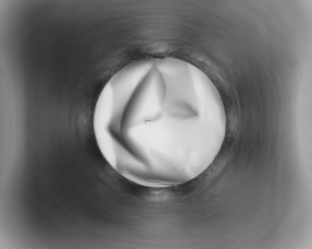 X0000101470376200807281024