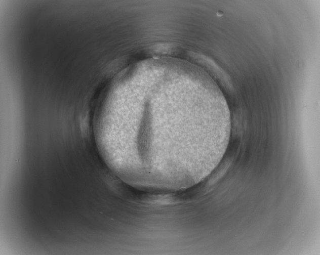 X0000101470377200807281024