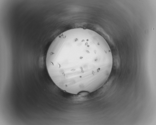 X0000101470378200807281024