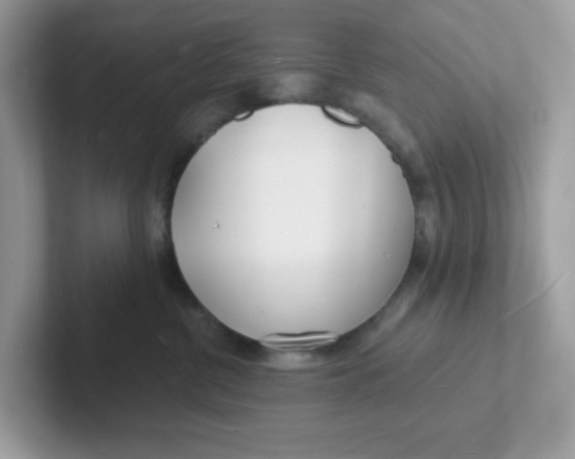 X0000101470380200807281024