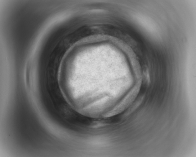 X0000101470381200807281024